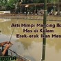 Mimpi Dapat Ikan Lele Banyak